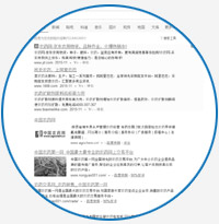 ֣������վ��˾,֣����վ�Ż���˾,֣����վ���蹫˾,������վ���蹫˾,֣��΢����������ϵͳ